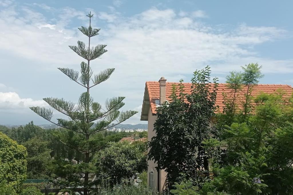 Claelle Appartment - 200M Beach Mandelieu Zewnętrze zdjęcie